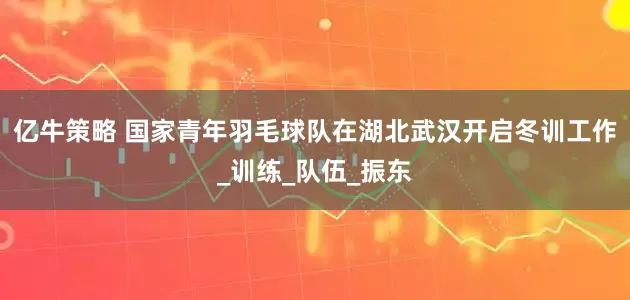 亿牛策略 国家青年羽毛球队在湖北武汉开启冬训工作_训练_队伍_振东